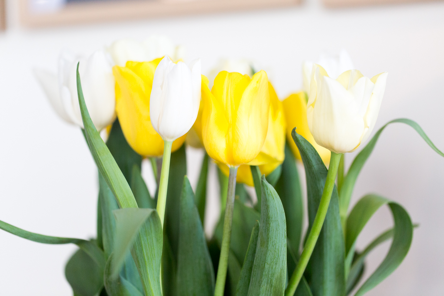 20140320-HUG_1658